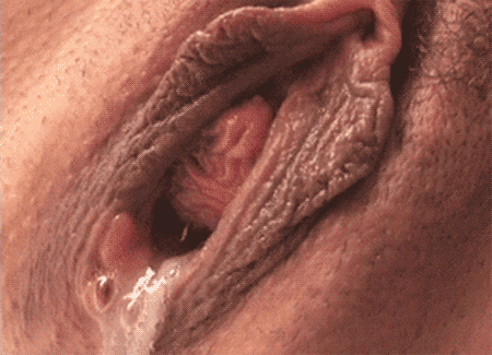 pornGIF.de - fotzen